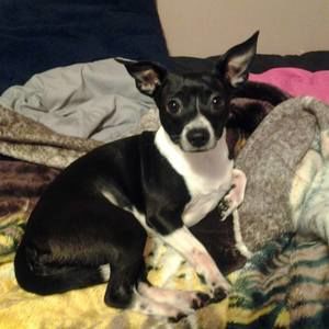 Meet your Posher, Omar